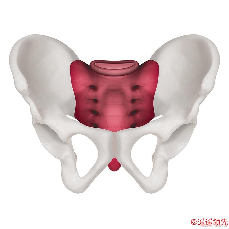 惠特莫尔确认赛季报销 已开始接受肩部血栓康复治疗